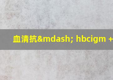 血清抗— hbcigm +表示